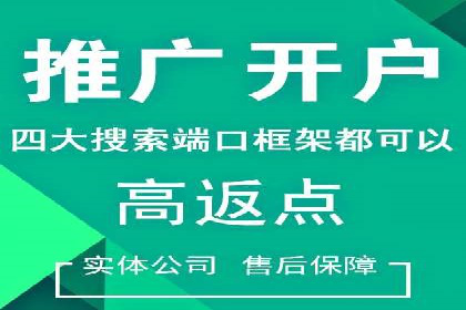 SEM广告投放案例：提升网站流量与转化